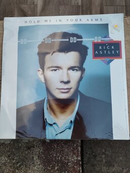 LP Rick Astley- hold me in your arms - 2