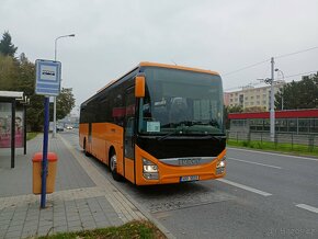 Řidič autobusu D - 200,-/hod čistého, celoročně - 2