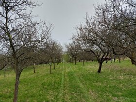 Pozemek s možností stavby chaty - 2