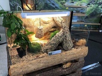 Prodám želví stůl/želvárium různých velikostí - 2