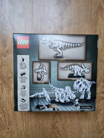 LEGO 21320 Ideas Dinosaur Fossils - 2