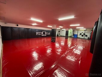 Pronájem vybaveného gymu - 2