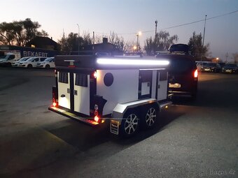 WT Mettal TH3 Vozík na psy - 2