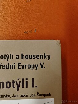 Drobní motýli I. - 2