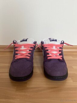 Nike SB Dunk Low Pro ,Purple Lobster - 2