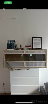 Terrarium - 2