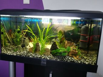 Akvarijní set Diversa 80, 112l - 2