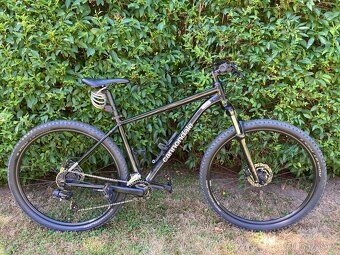 Horské kolo Cannondale TRAIL 29" 8 vel. L - 2