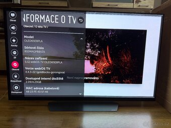 TV LG OLED 65E8PLA - 2