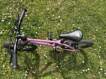 Rascal 16” růžové - 2