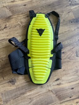 Chránič páteře Dainese - 2