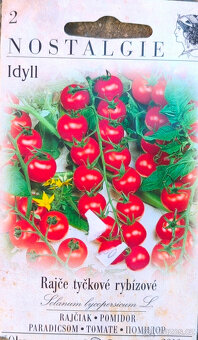 NABÍZÍM SAZENICE RAJČAT TYČKOVÁ RYBÍZOVÁ IDYLL - 2