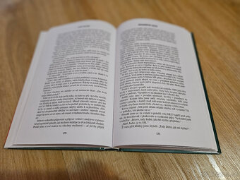 Kniha Okamžitá akce Andy McNab - 2