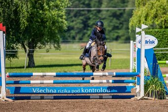 Charakterní první pony kat. S - 2