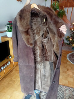 prodám dubeňák - 2