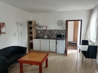 Pronájem pouze studentkám - 2