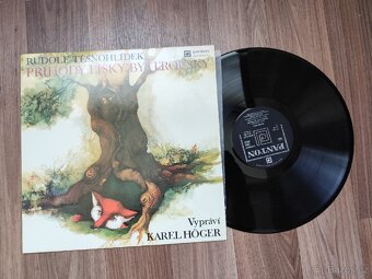 Lp-gramofonove desky - 2