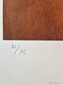 ANDREAS SCHOLZ - Nude with Calla Left (CERTIFIKÁT), Litograf - 2