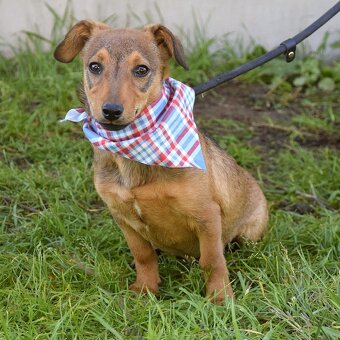 Jeremy hledá domov - 2