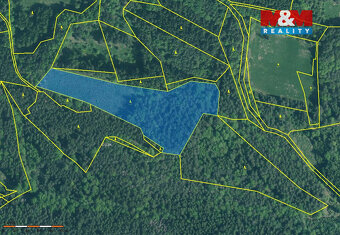 Prodej lesa, 18400 m², Putim - 2