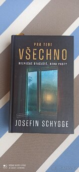 PRO TEBE VŠECHNO - thriller - 2