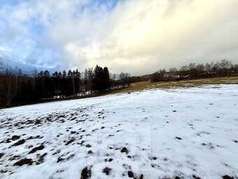 Prodej pozemky pro bydlení, 18 881 m2 - Bublava - 2