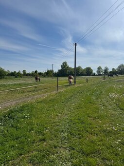 Ustájení koní - 2