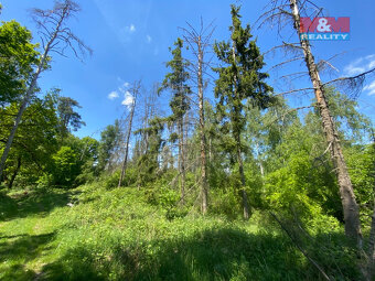 Prodej lesa, 15167 m², Kropáčova Vrutice - 2