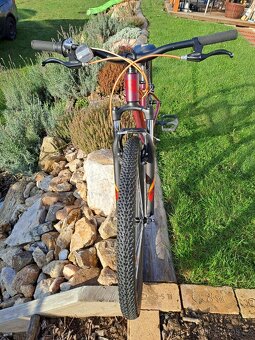 Rock Machine Catherine 24" TOP STAV - 2