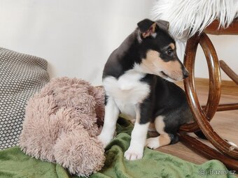 Biham nebude sedět v koutě :-) - 2