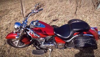 Kawasaki VN 900 Classic - 2