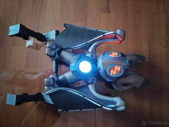 Nocto, netopýr - 2