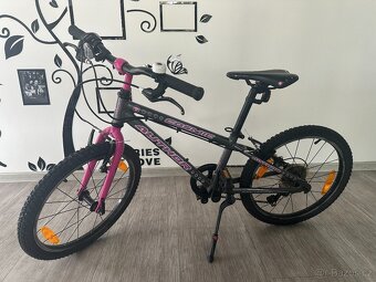 Author cosmic 20" zoll - 2