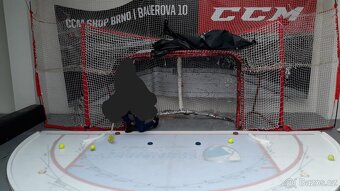 Umělá ledová plocha - 2