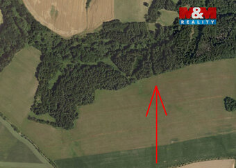 Prodej lesa, 1393 m², Lipová-Hrochov - 2