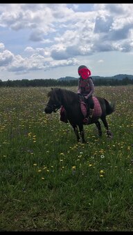 Jedinečný poník - 2