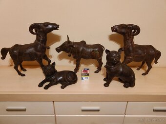 Ázijské zvieratá - 2