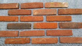 Lícové obkladové cihlové pásky typ B1 - 2