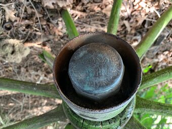 Kočár, žebřiňák náprava Wien - 2