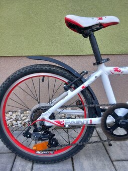 Dětské kolo  Superiior Paint 20 - 2