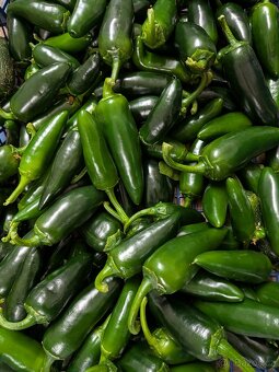 Prodám pálivé (chilli) papričky - 2