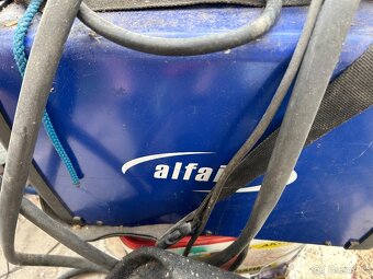 Alfa in plazma - 2