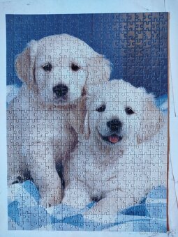 Puzzle zlatí retrívři - 500 dílků - 2