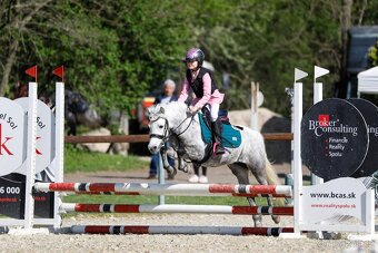 Predam sportovu pony S - 2