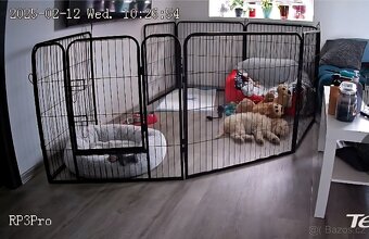 Ohrádka pro zvířata, psa - 2