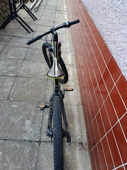 Scott 24 - 2