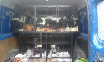 Klec pro psy do auta - 2