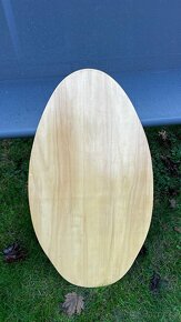 Surf prkno - 2