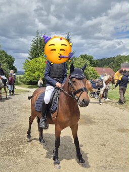 PONY pro princezny - 2