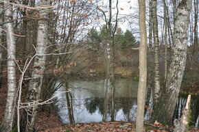 Prodej rybníka 1825m2 Petřvald u Karviné, prodám rybník 1825 - 2